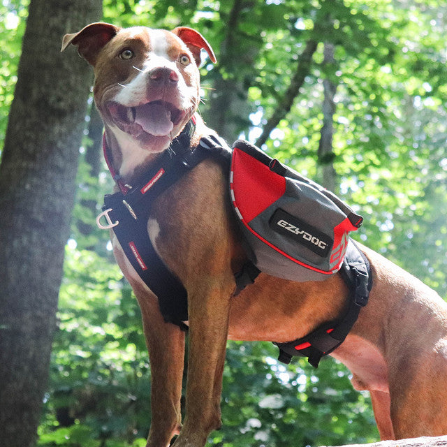 Summit Dog™ Backpack