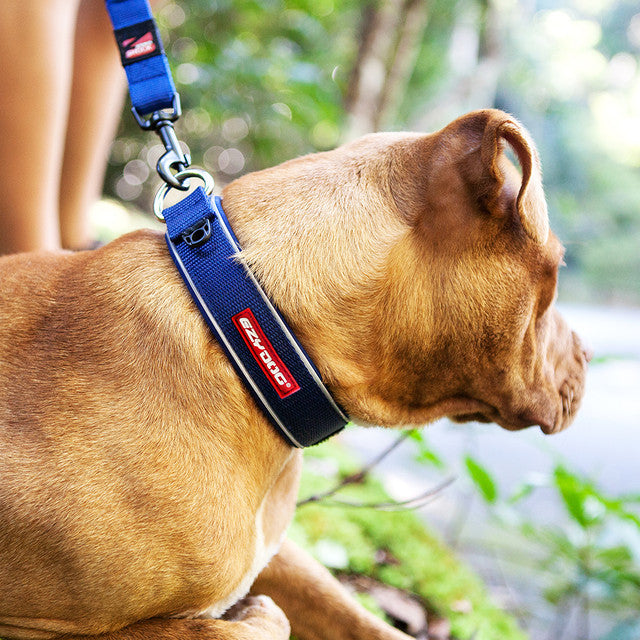 Neo™ Collar