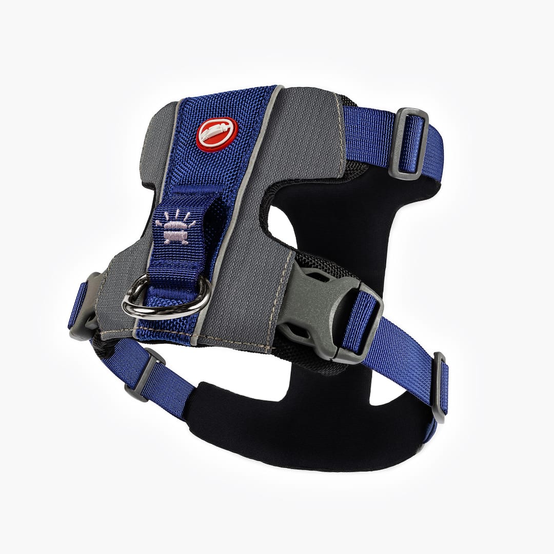 X-Link™ Dog Harness