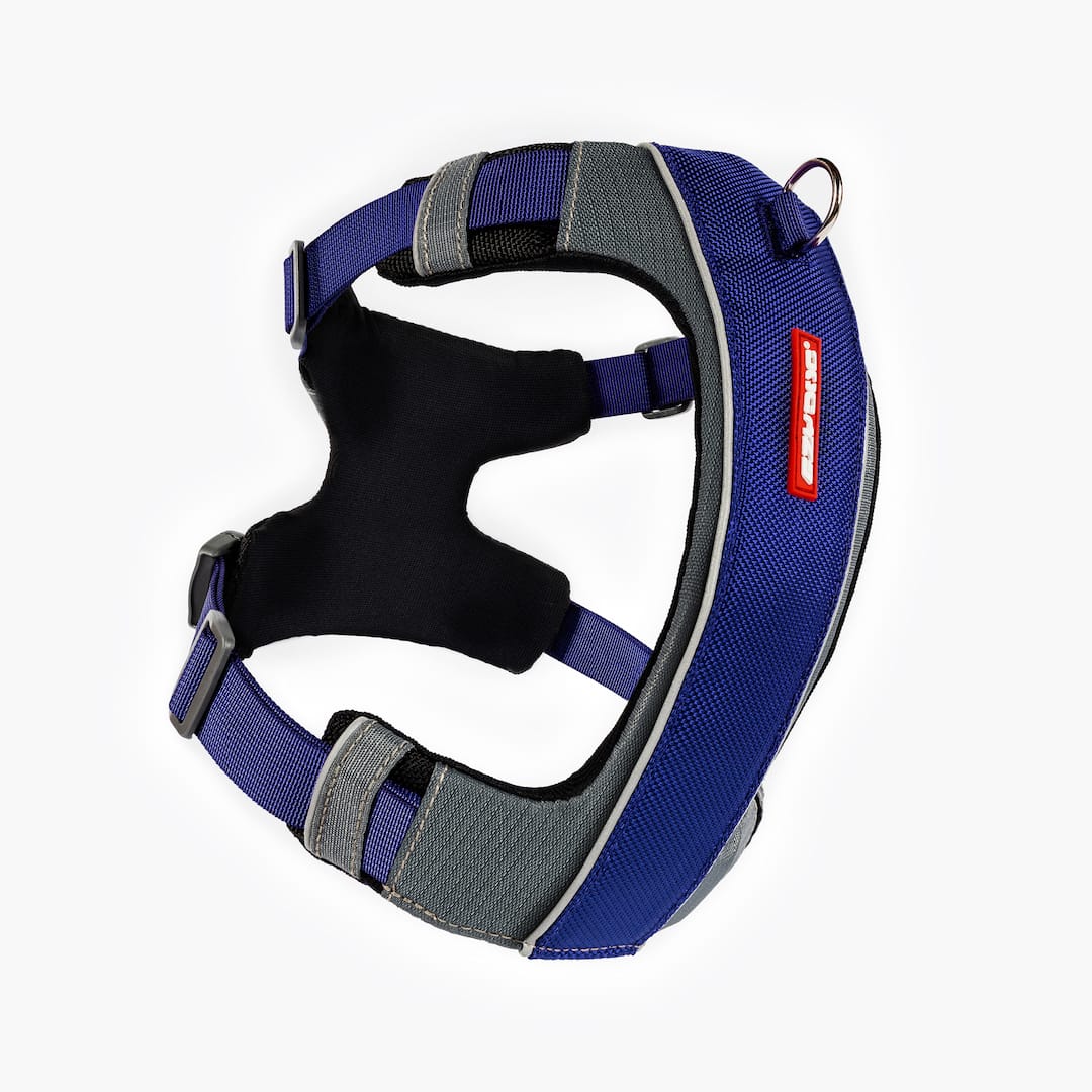 X-Link™ Dog Harness