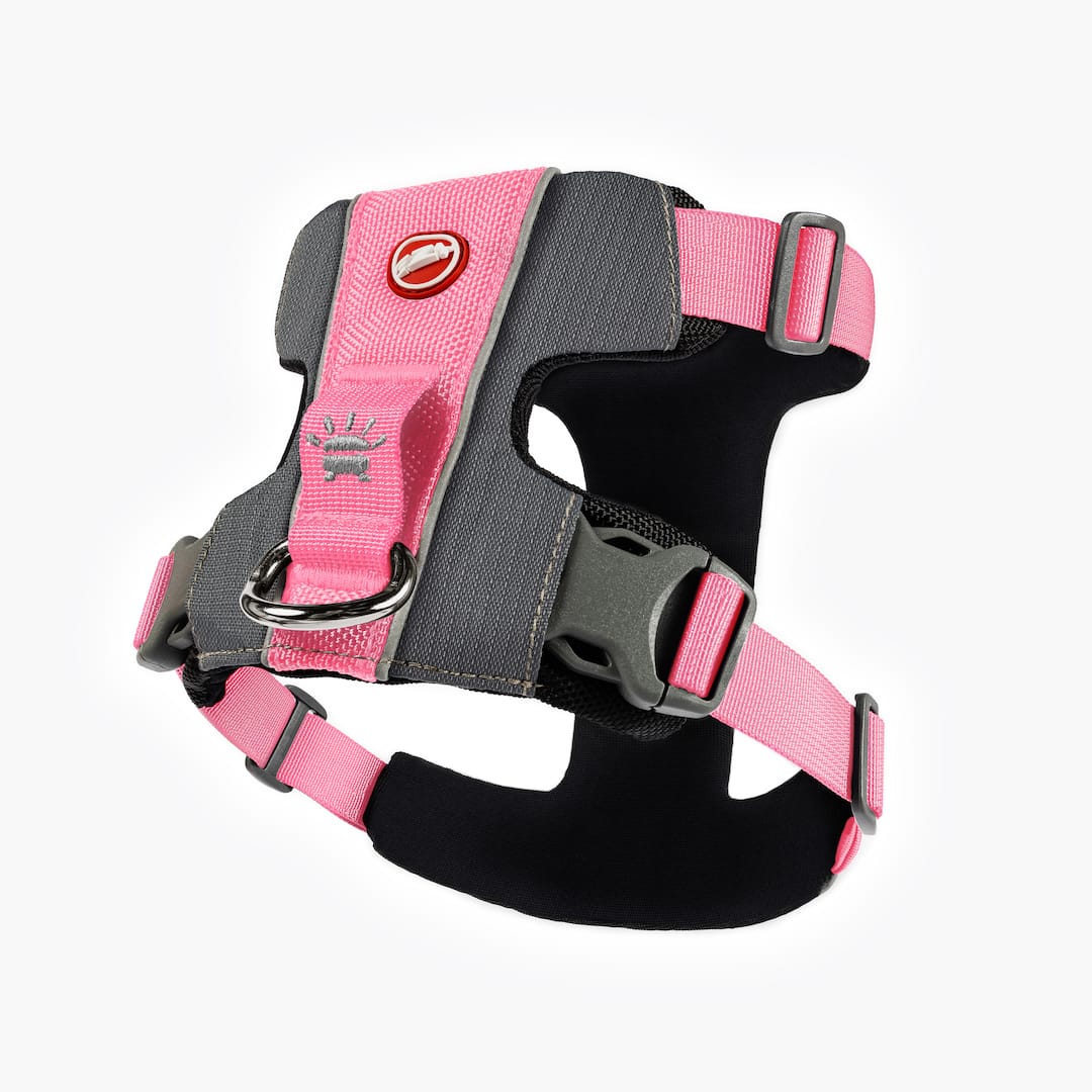 X-Link™ Dog Harness