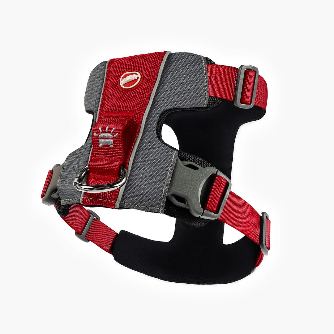 X-Link™ Dog Harness