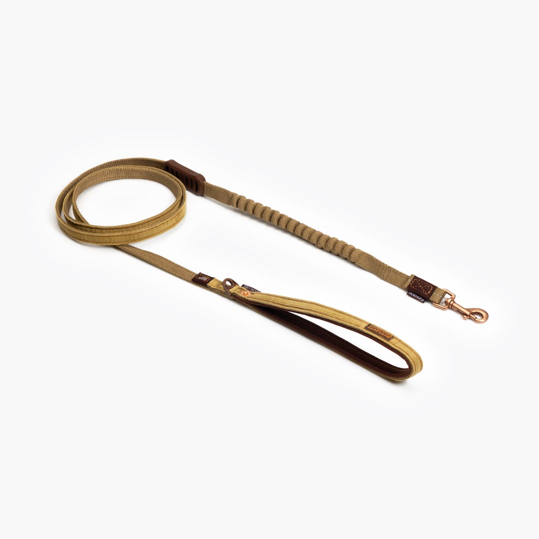 Zero Shock™ Lite Leash for Small Breeds