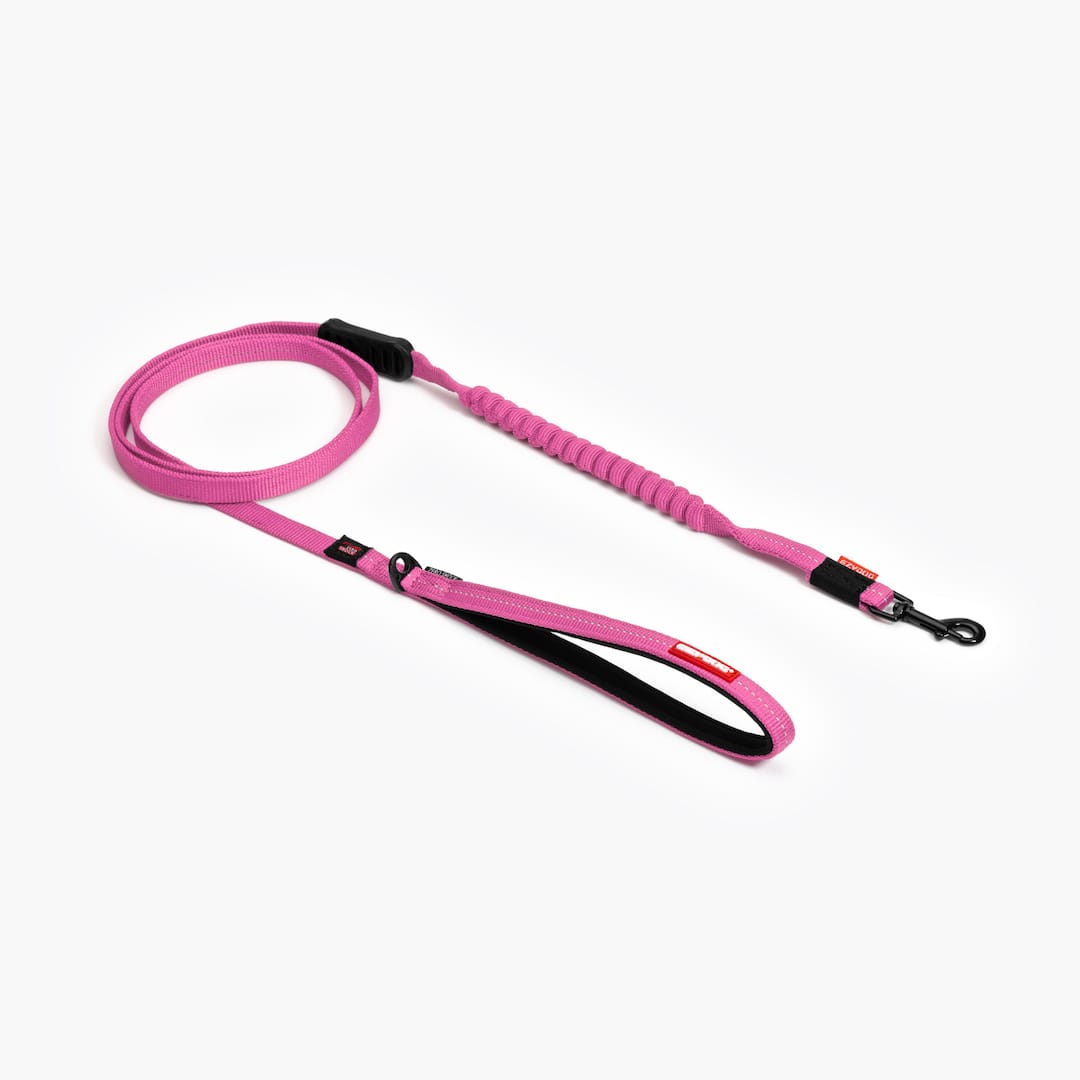 Zero Shock™ Lite Bungee Leash
