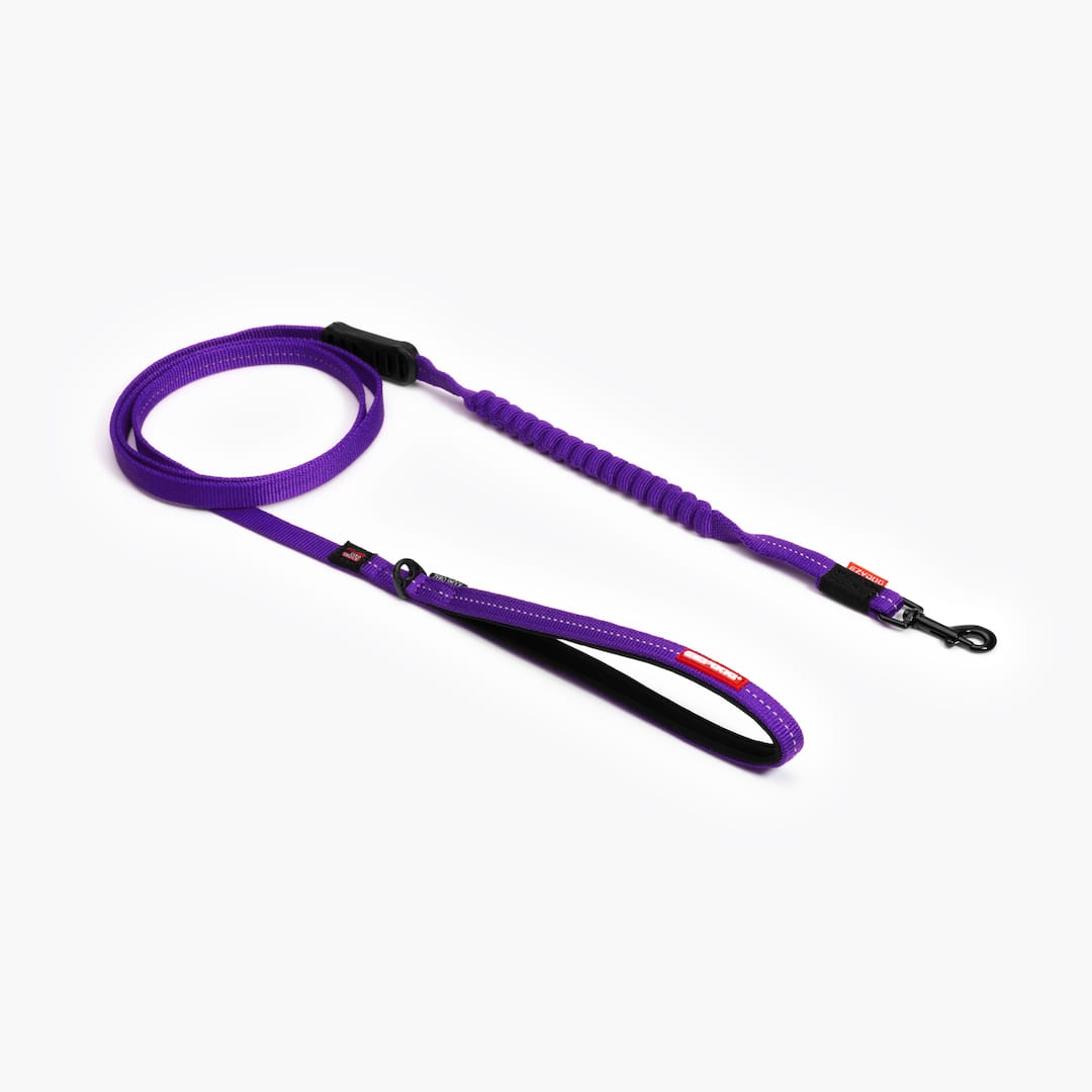 Zero Shock™ Lite Bungee Leash