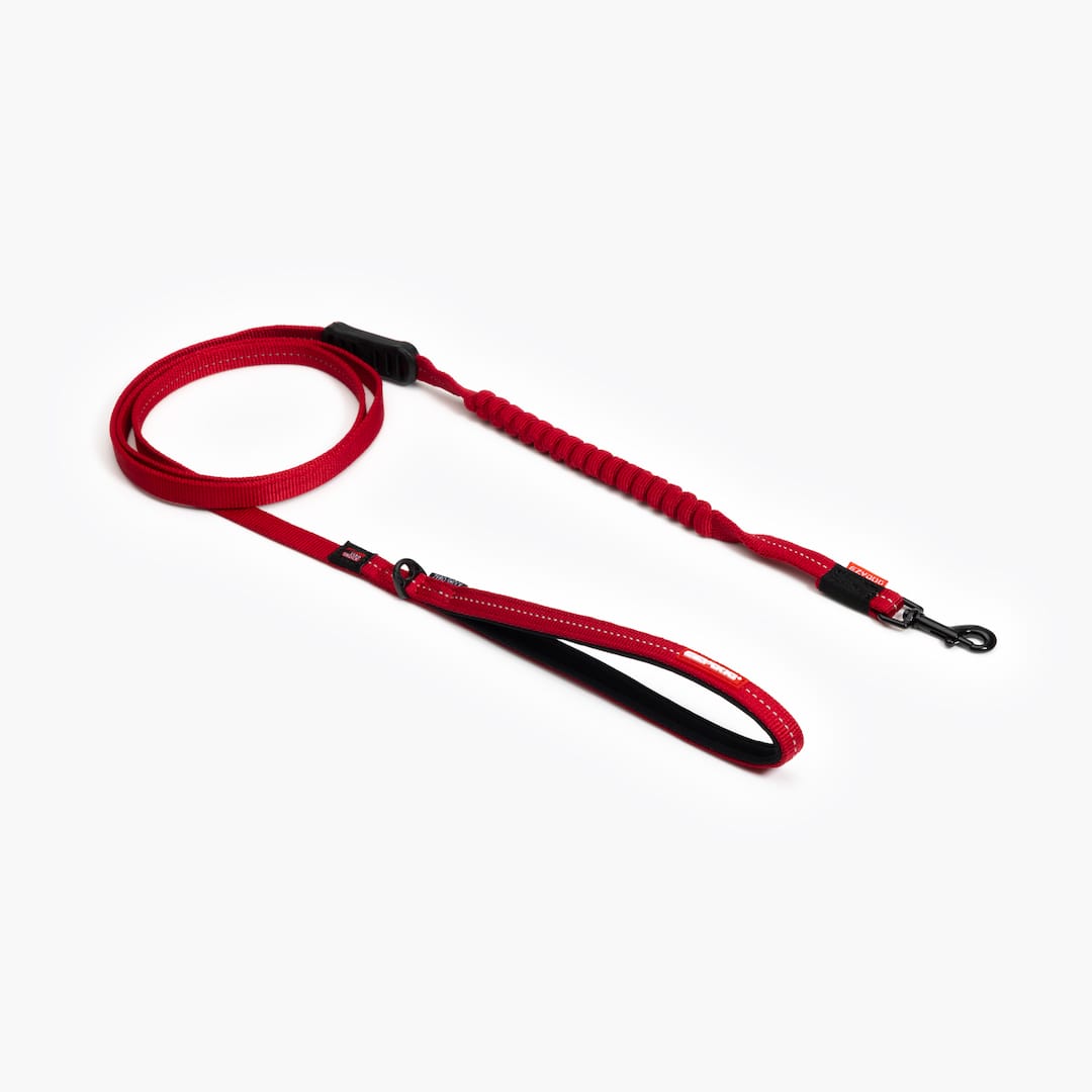 Zero Shock™ Lite Bungee Leash