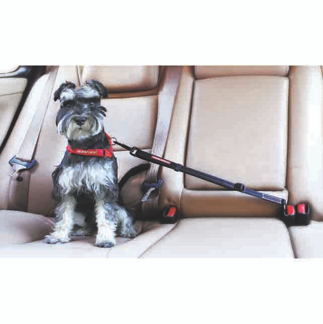 Click™ Adjustable Car Restraint