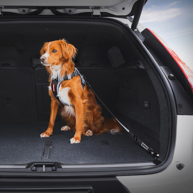 Click™ ISOFIX