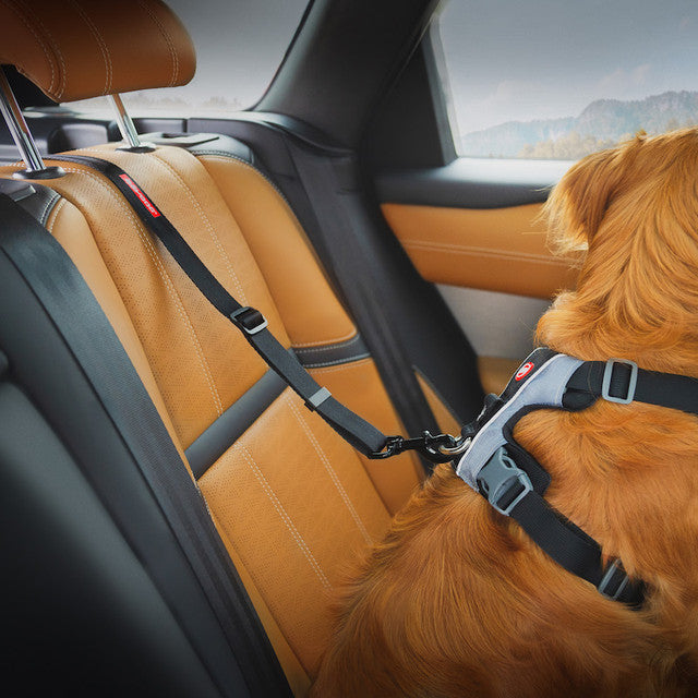 Click™ ISOFIX
