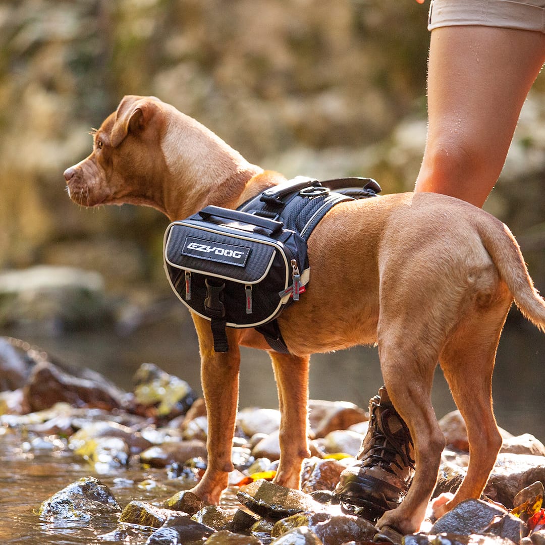 Convert™ Saddle Bags