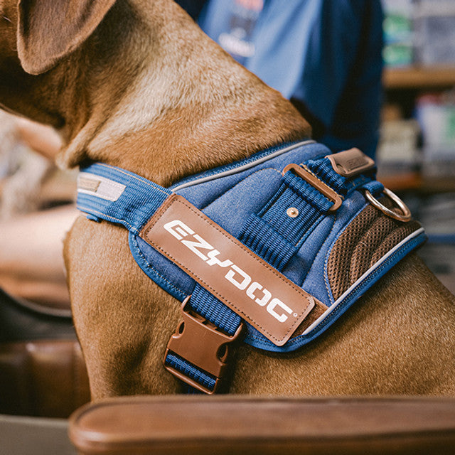 Convert™ Dog Harness