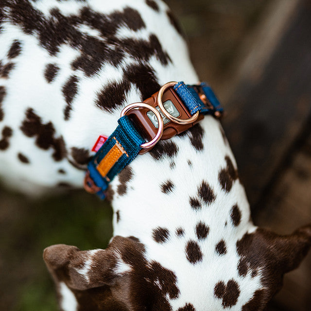 Denim - Double Up™ Collar