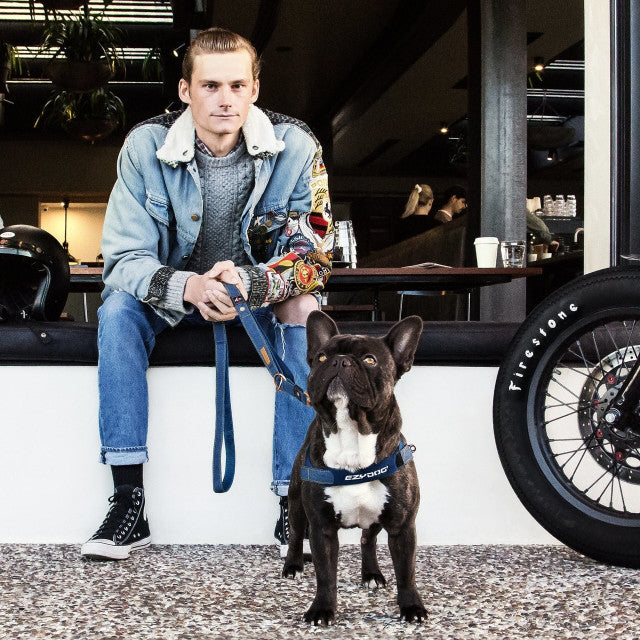 Denim - Quick Fit™ Harness
