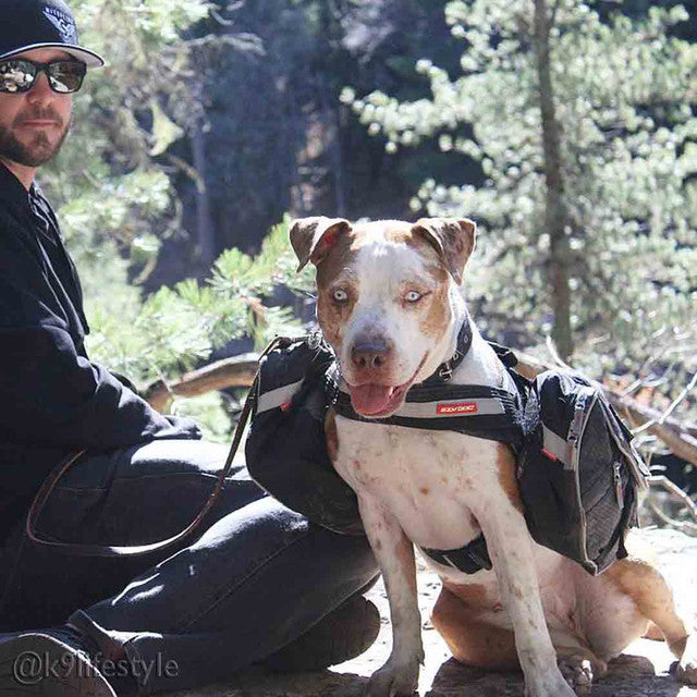 Convert™ Saddle Bags