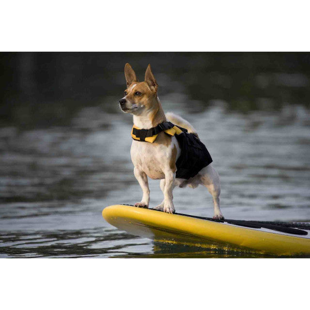 dog wearing Yellow Micro DFD life jacket on a surf boat front view