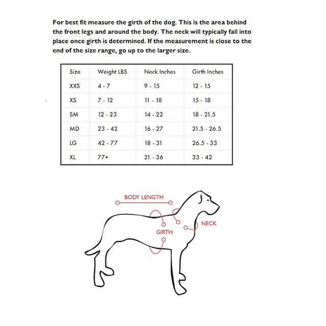 Quick Fit™ Dog Harness