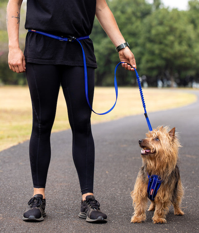 Road Runner™ Lite Leash