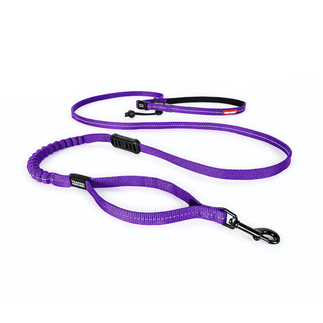 Road Runner™ Lite Leash