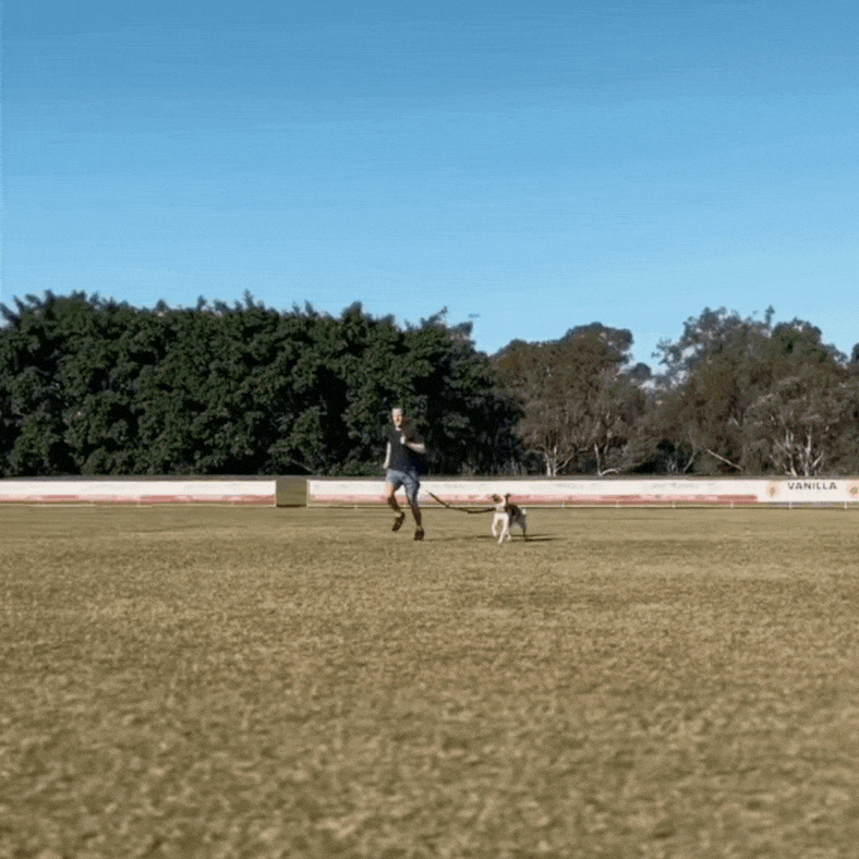 Road Runner™ Leash
