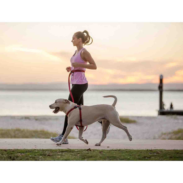 Road Runner™ Leash