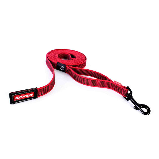 Track 'N' Train™ Leash