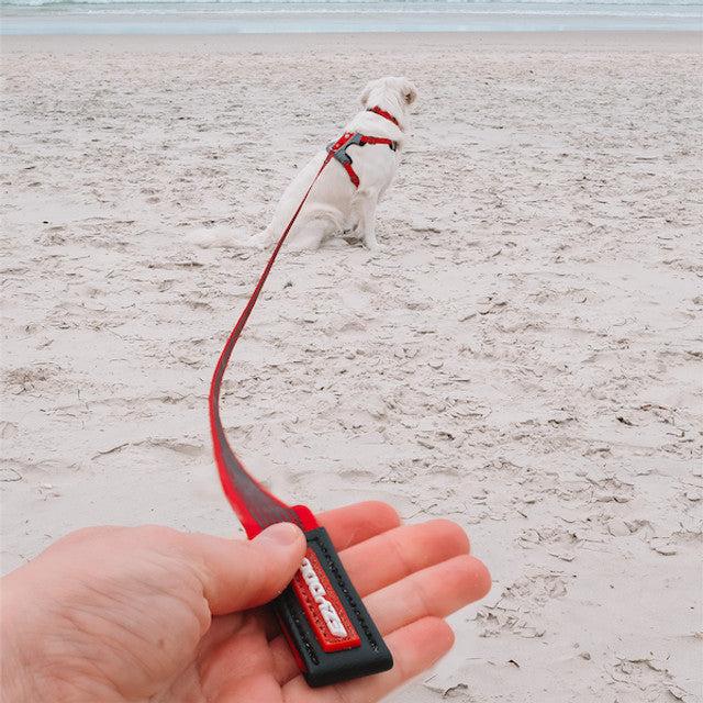 Track 'N' Train™ Leash
