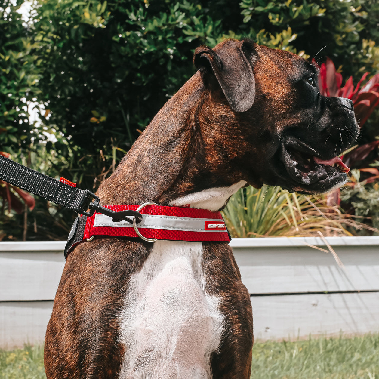 UpFront™ Leash Attachment