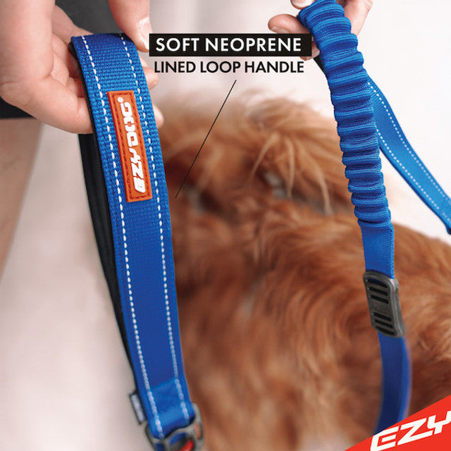Zero Shock™ Leash
