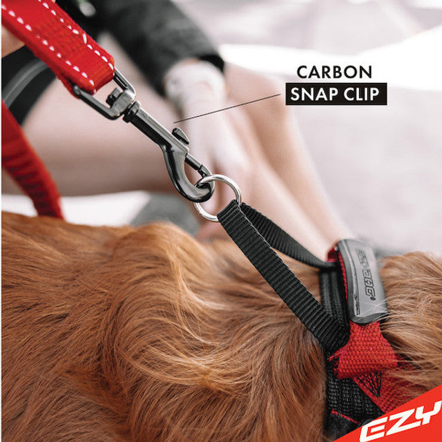 Zero Shock™ Leash