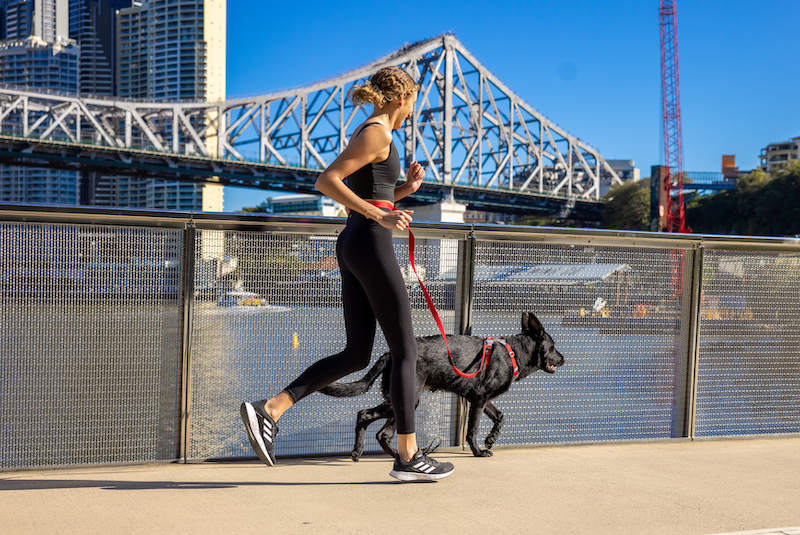 Girl and dog training to run together