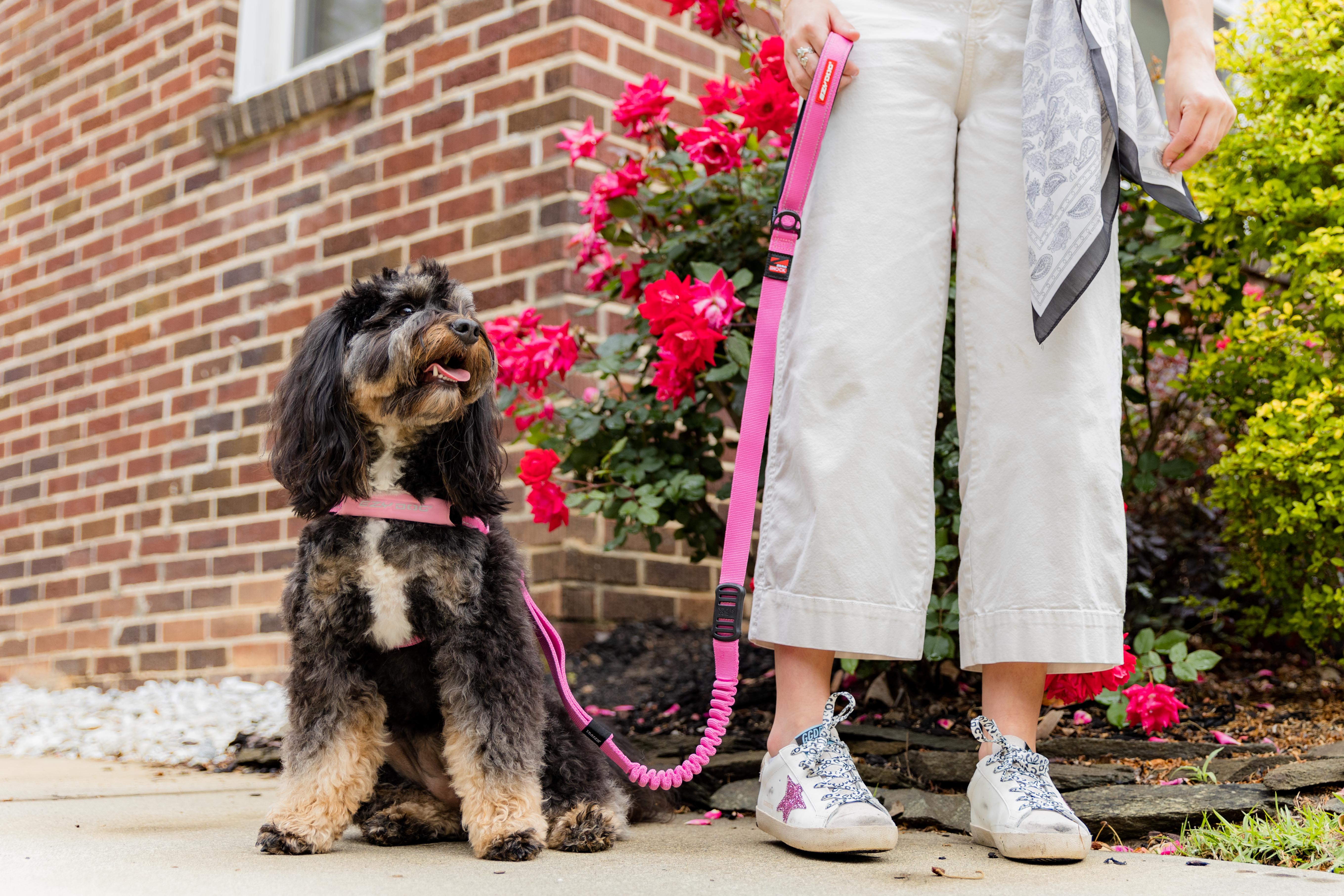 The Ultimate Gift Guide for Adventurous Dog-Loving Moms