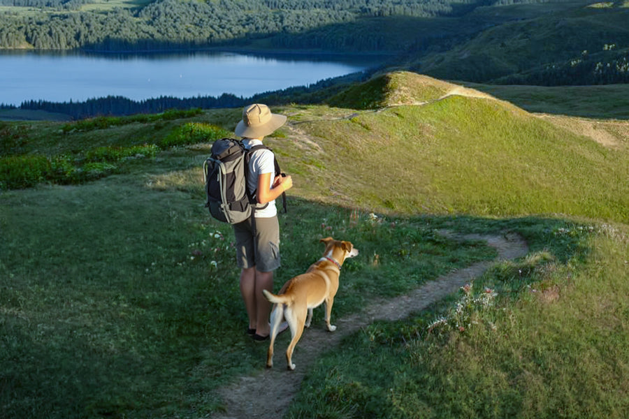 a woman stands on a ridge trail with her dog beside her gazing at a distant lake