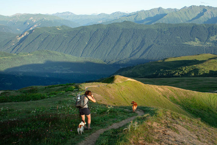 What to Bring When Hiking With Your Dog