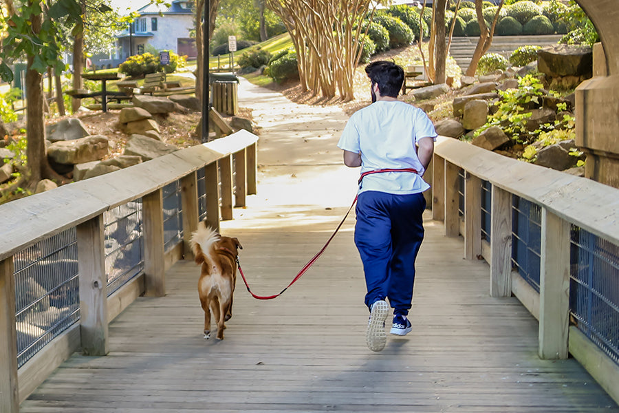 a-man-wearing-a-hands-free-dog-leash-and-his-dog-jod-together-beneath-an-underpass-at-a-comfortable-pace-