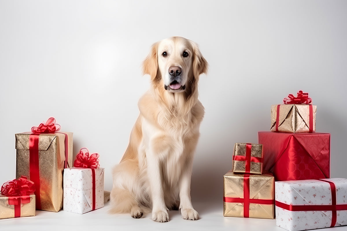 2024 Holiday Gift Guide: Dog Accessories for Your Pup