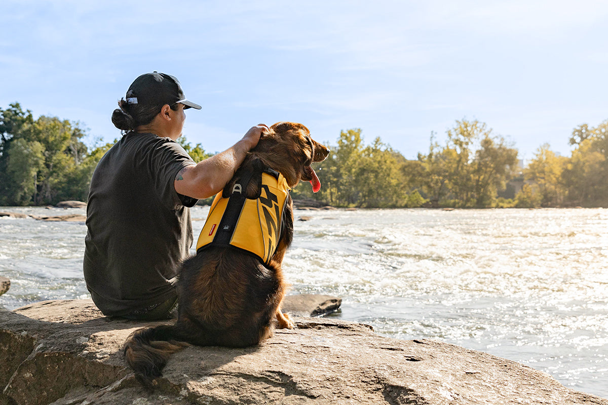 Dog Summer Gear Guide