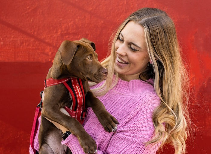 How to Celebrate Valentine’s Day with the Pup You Love Most