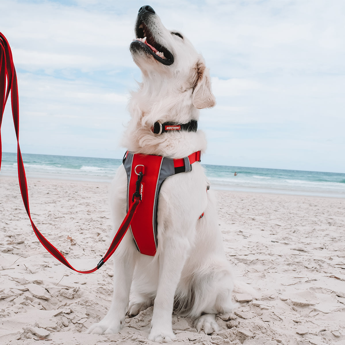 no pull dog harness