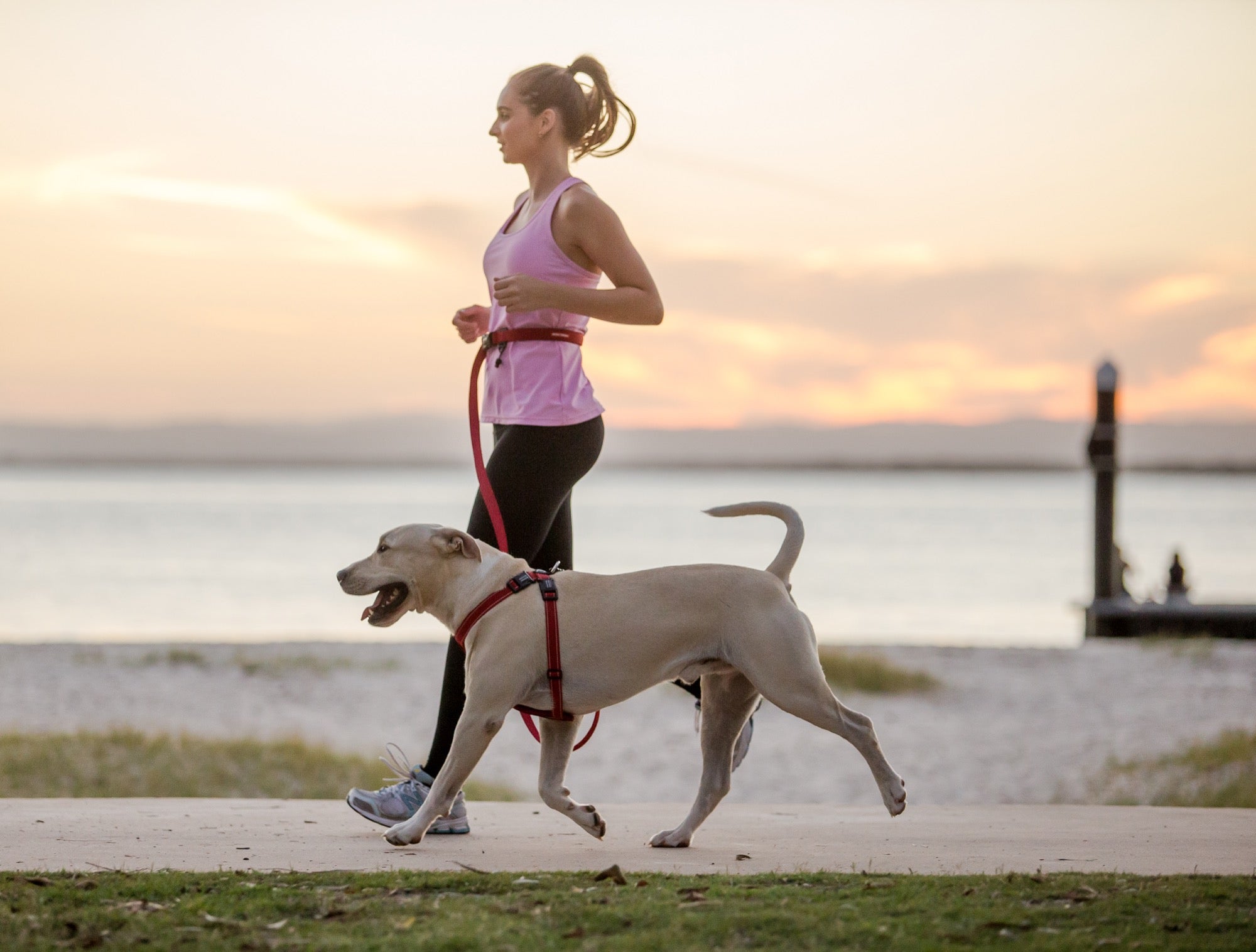 Woman jogging with a dog on a leash by a waterfront at sunset