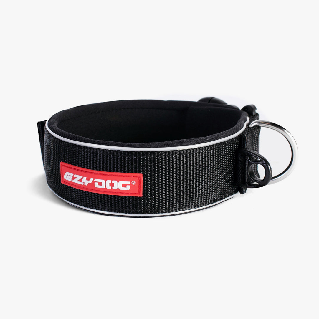 Black dog collar with red label on a white background