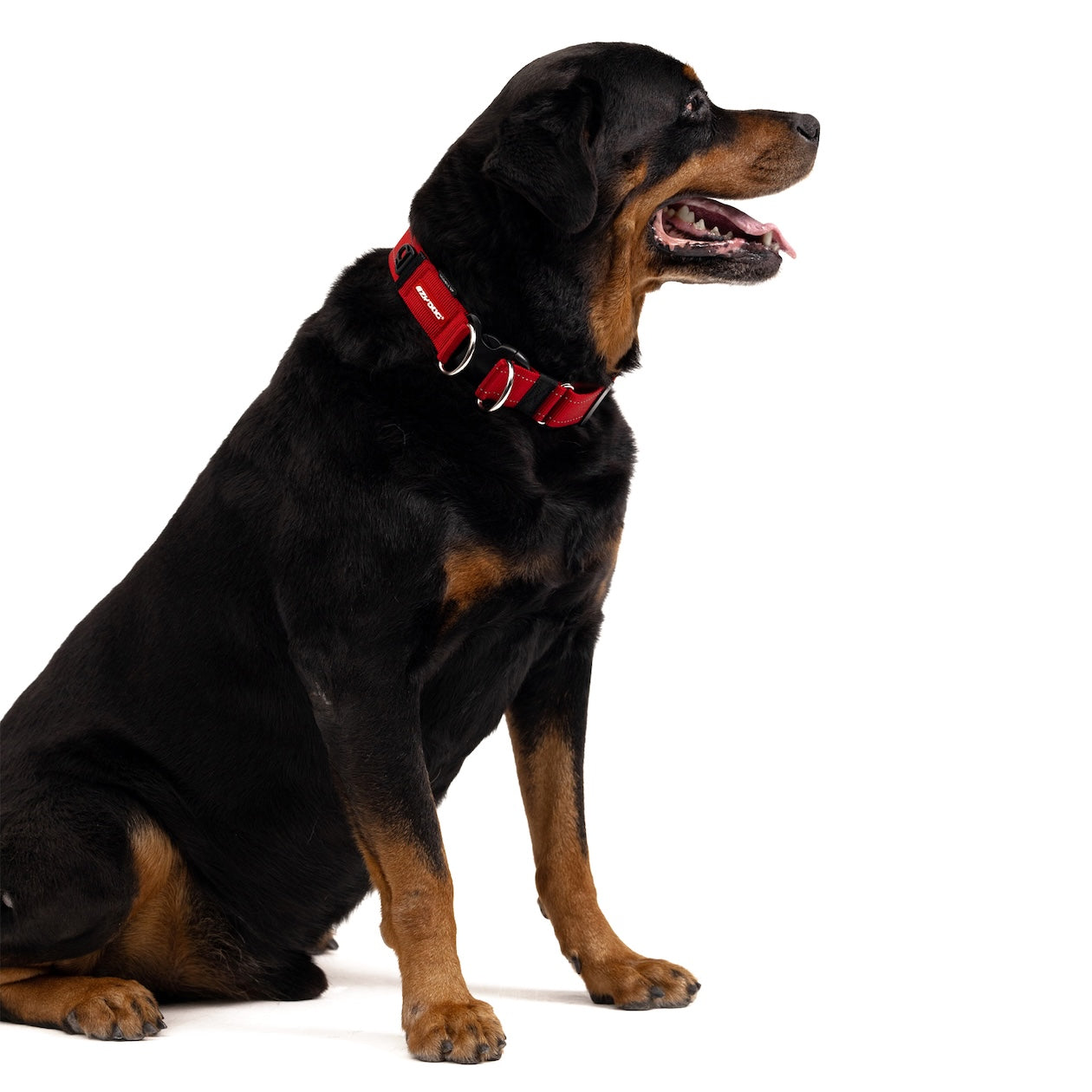 Double Up™ Collar
