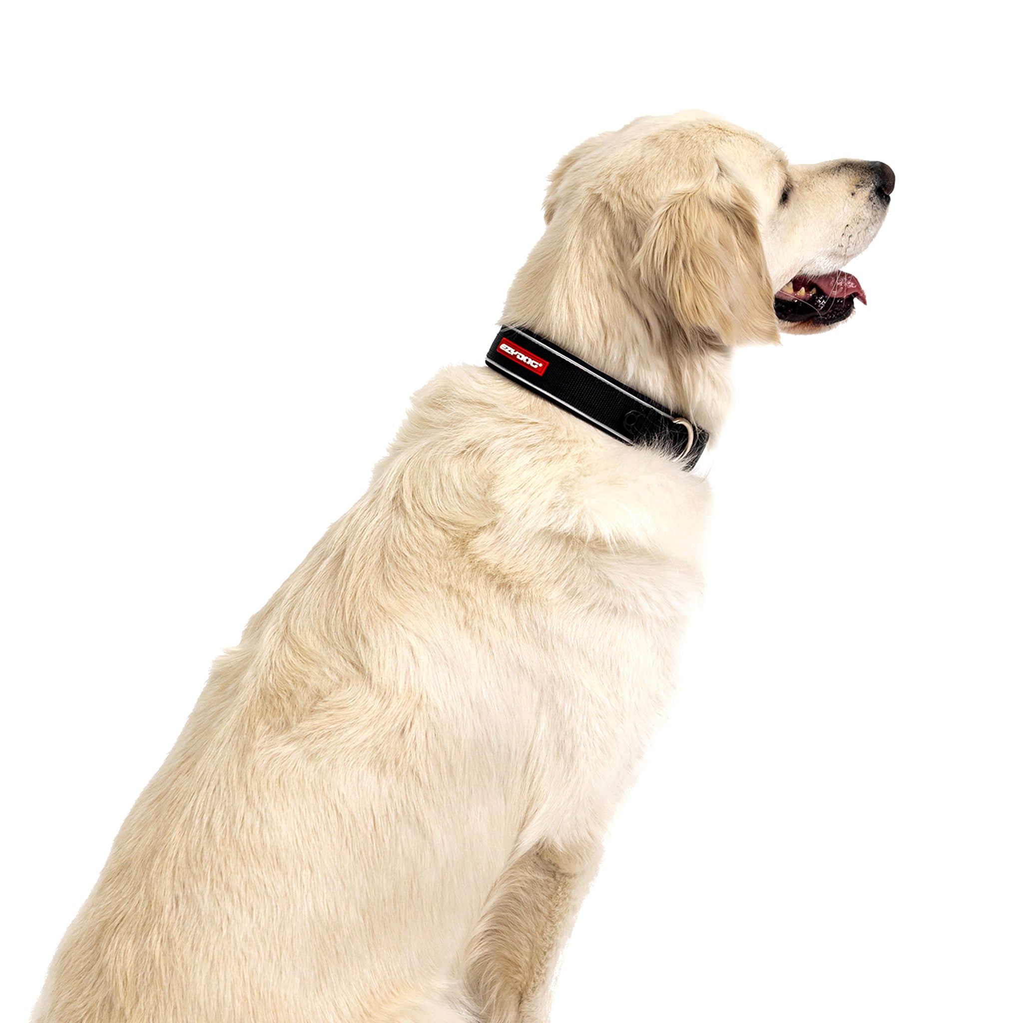 Neo™ Collar
