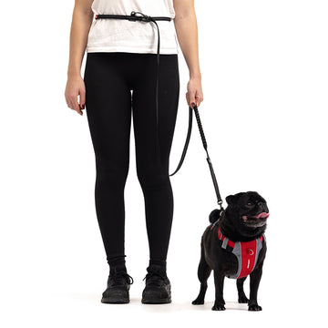 Hands Free Dog Leash for Running