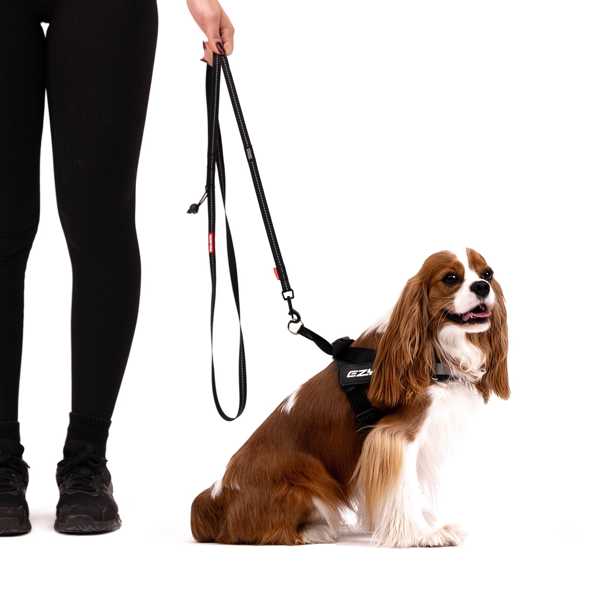 Denim - Soft Trainer™ Leash LITE