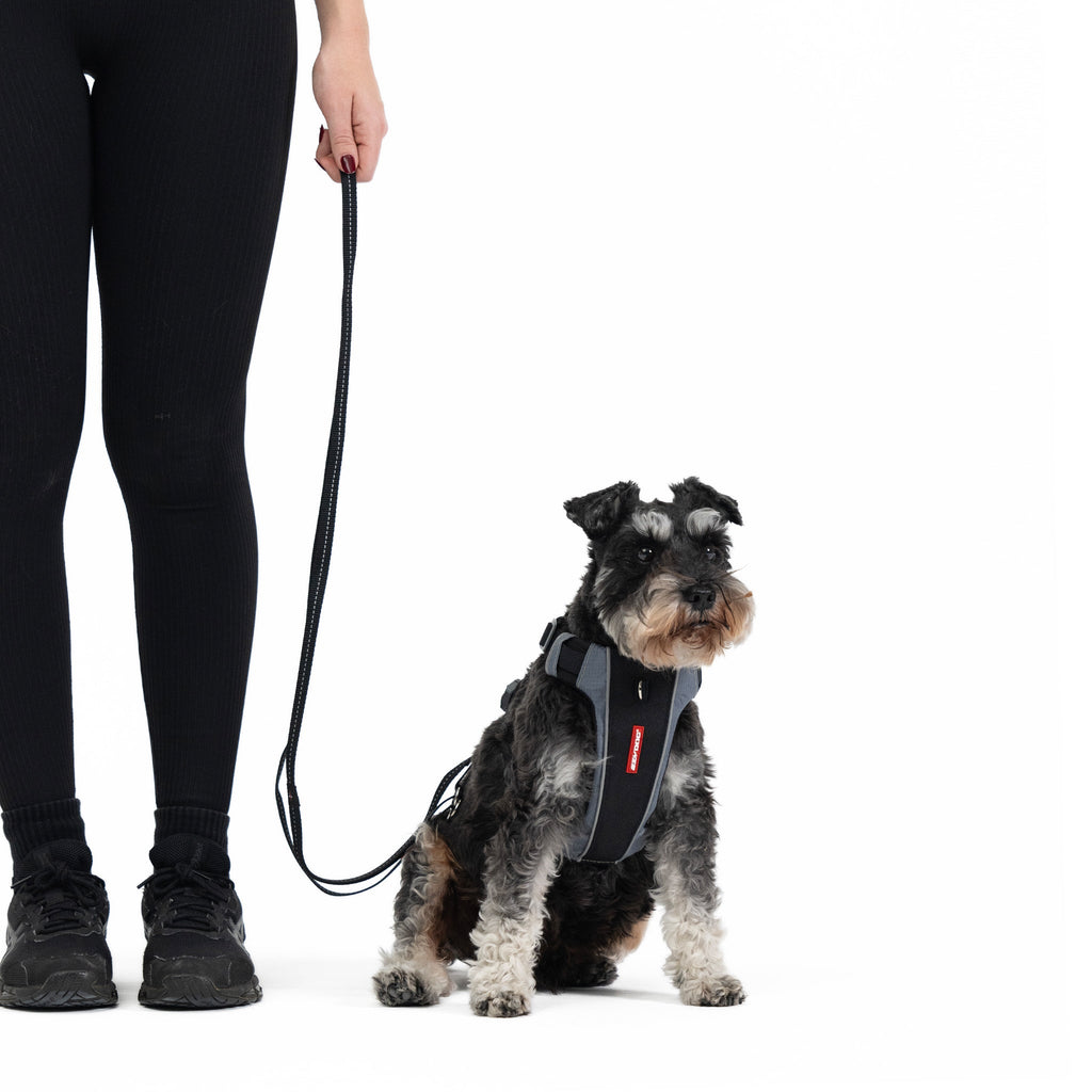 Multifunction Leash Multi Function Dog Leash | Dog Training Leash – EzyDog USA
