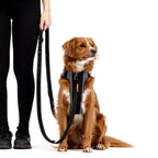 VARIO 6™ Multi-Function Leash
