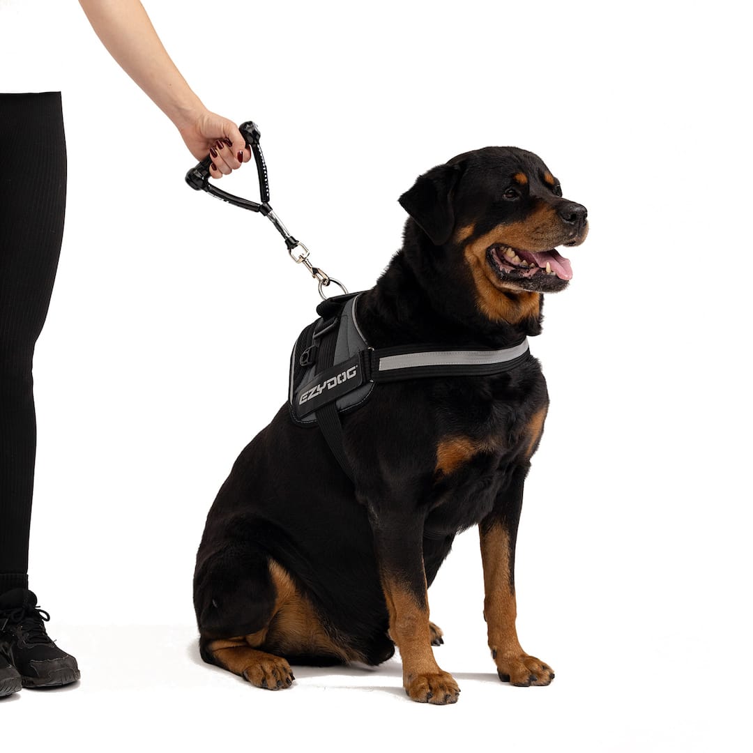 Mongrel™ Leash