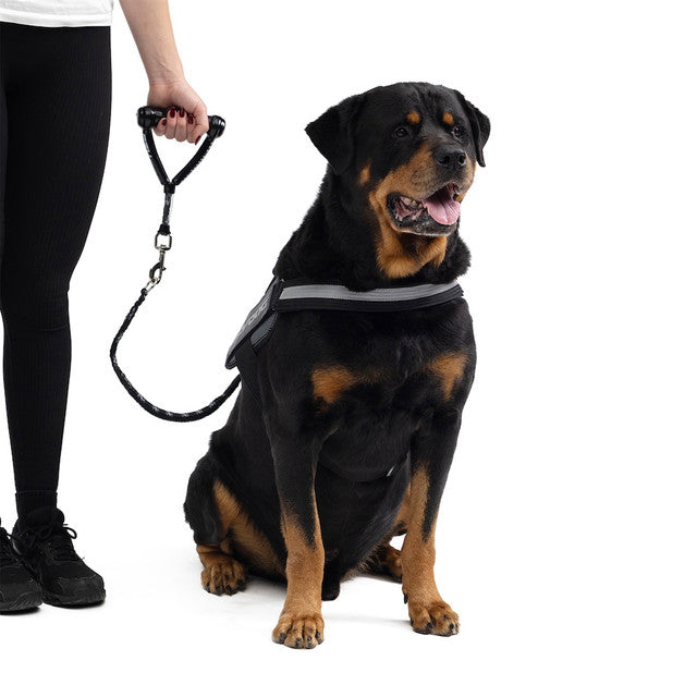 Mongrel™ Extensions