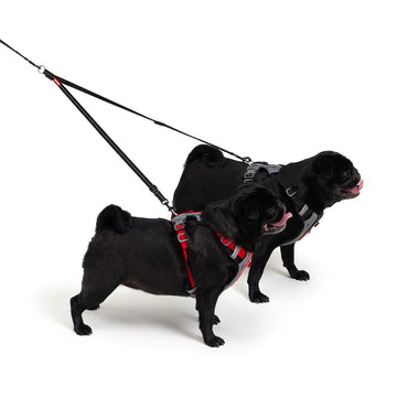 Dog Leash Coupler