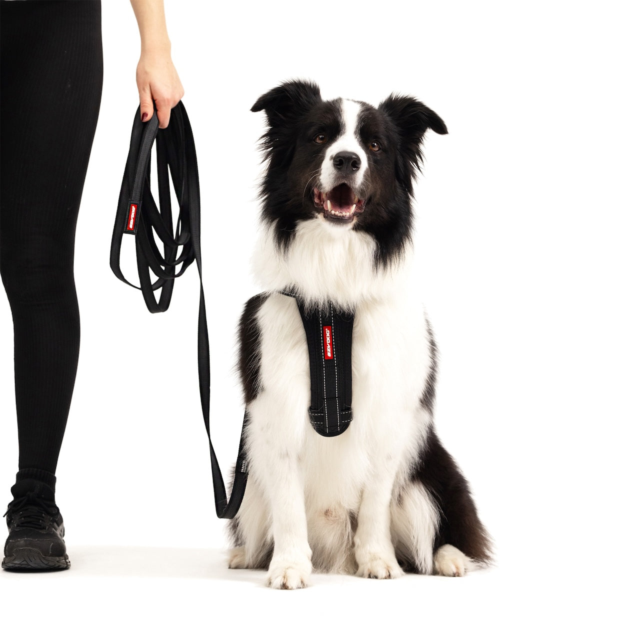 Track 'N' Train™ Leash